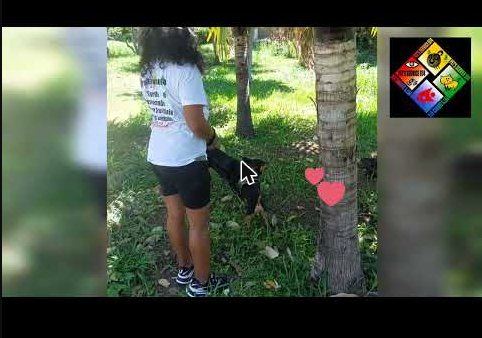 Promenade de chien avec Pets Service 974 à La Réunion